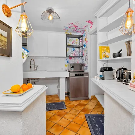 Vakantiehuis Belle Maison A Avec Jardin De Citronniers